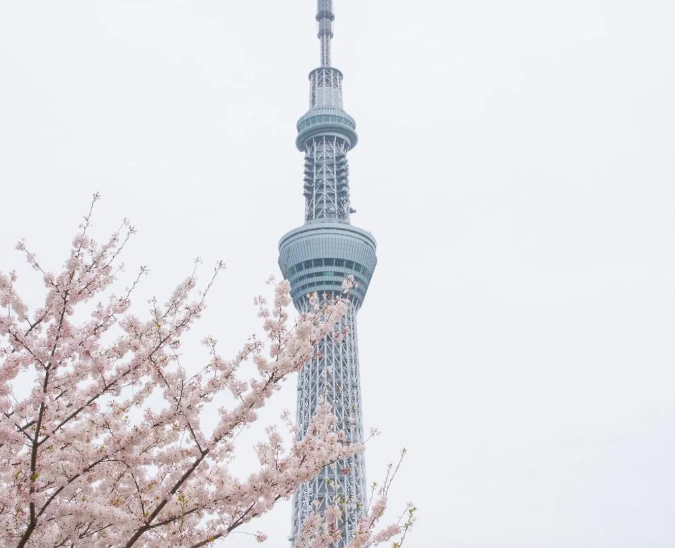 Hotel Varkin Annex Tokyo